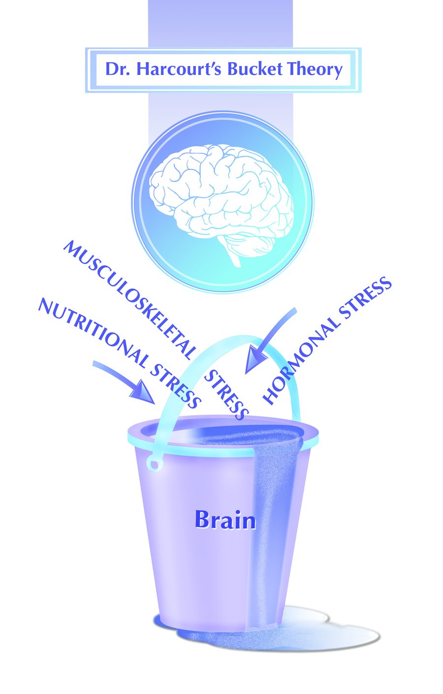 Dr. Harcourt's Bucket Theory: hormonal, nutritional and musculoskeletal stress filling the brain's bucket