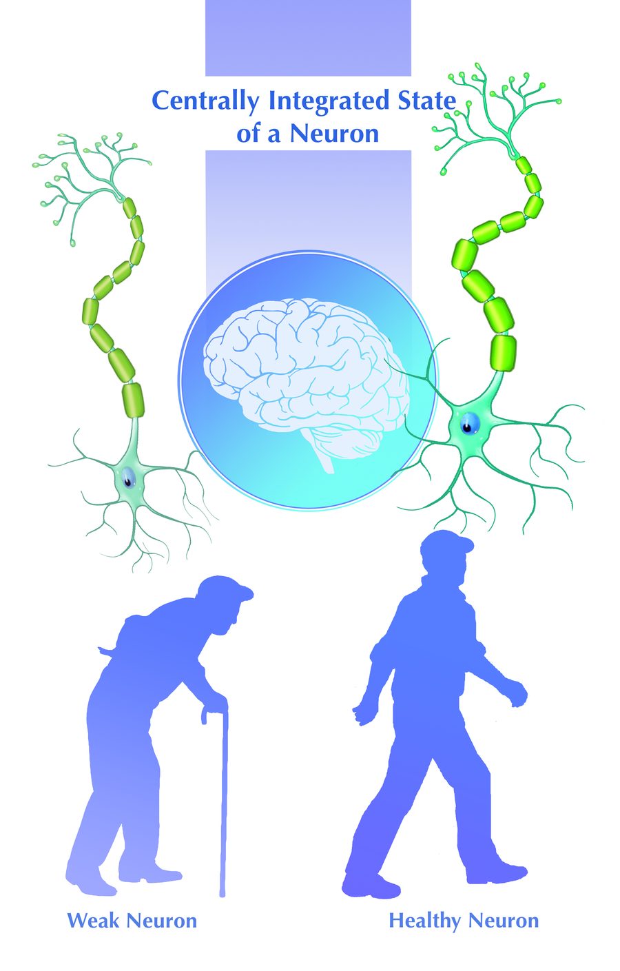 Centrally integrated state of a neuron: weak compared with healthy
